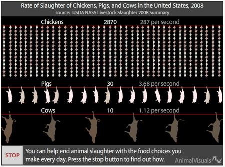 Rate of Slaughter of Chickens, Pigs, and Cows in the United States, 2008